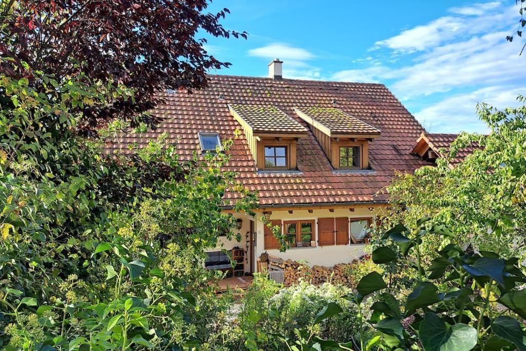 Gemütliche Waldrandlage in Badenweiler Sehringen Ferienwohnung Exterior foto